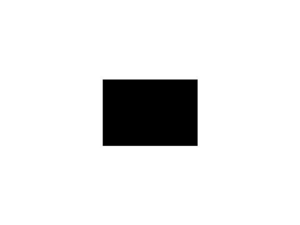 Champions League Final